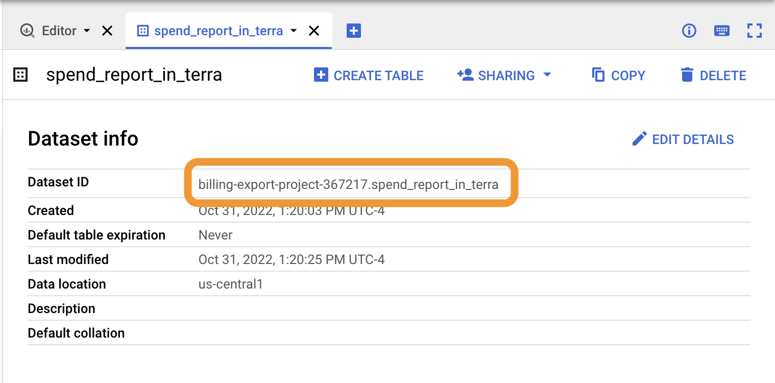 Set-up-spend-reporting_BQ-dataset-details_Screenshot.png