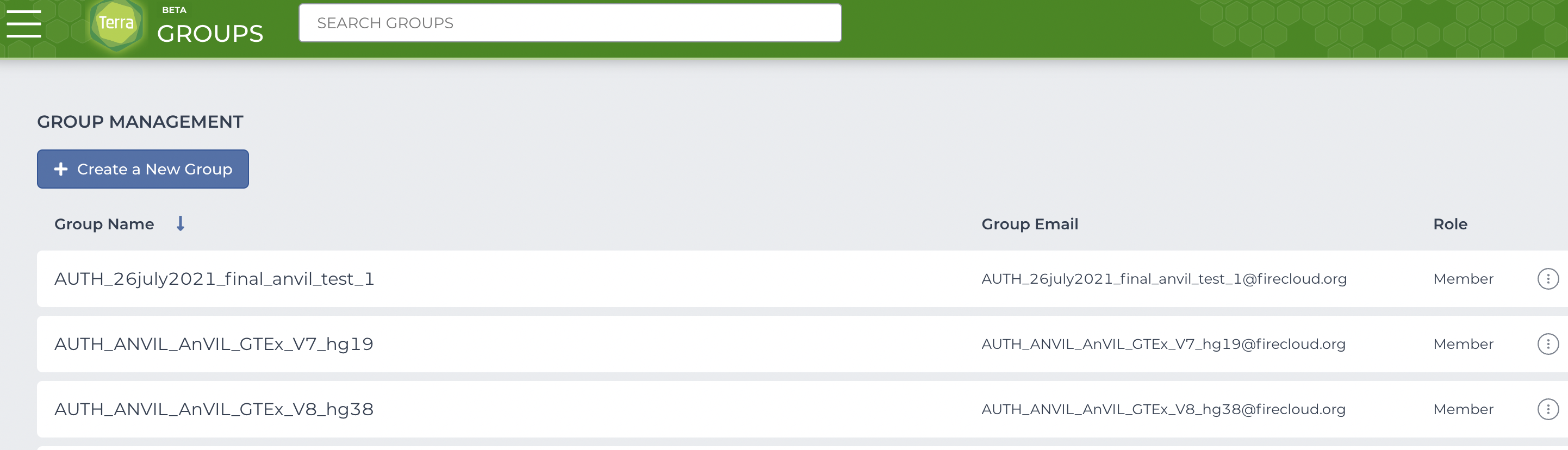 Screenshot og groups page in Terra, with three groups in the list and the create group button above the list.