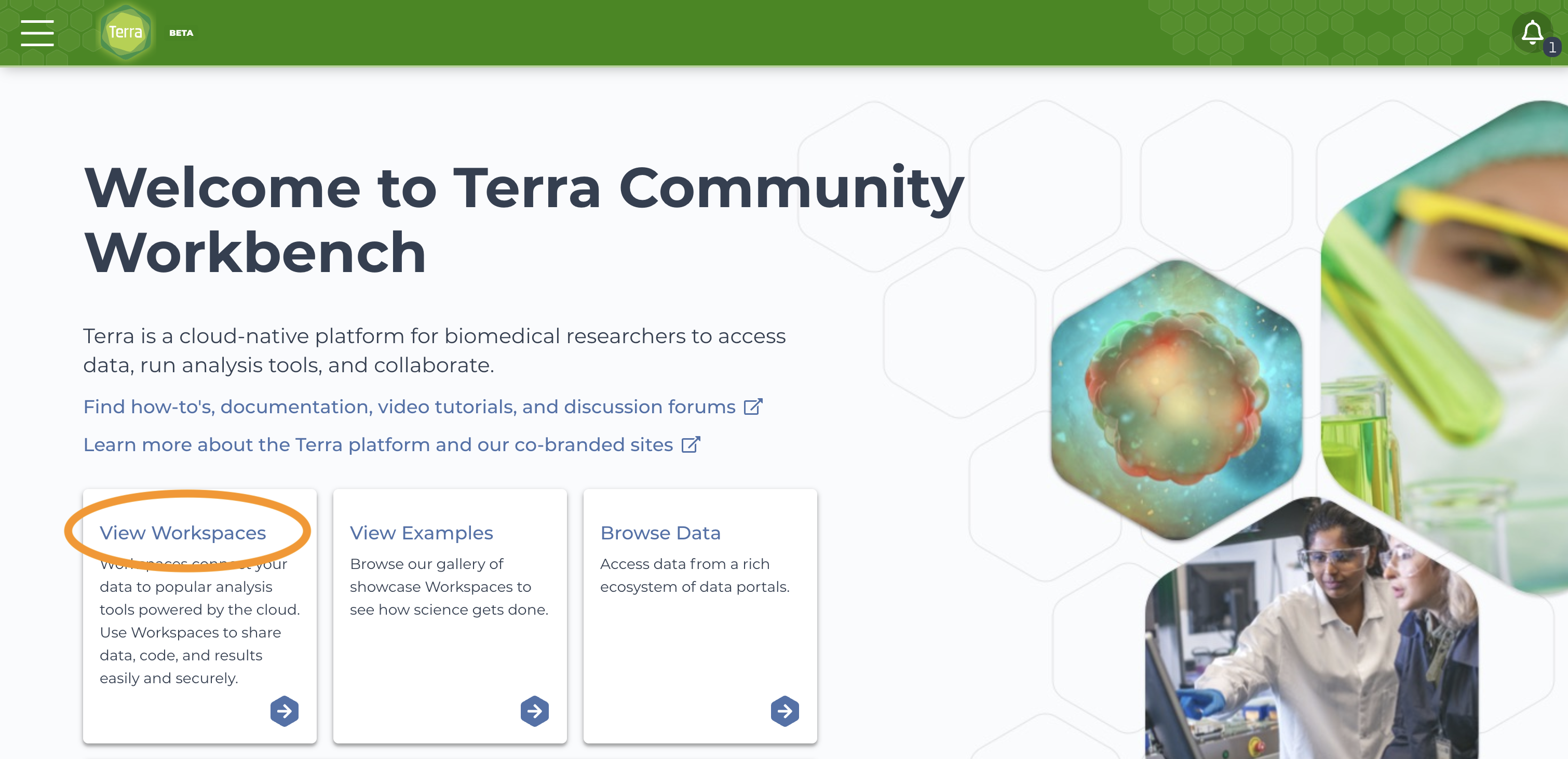 Terra-landing-page_View-Workspaces-card_Screenshot.png