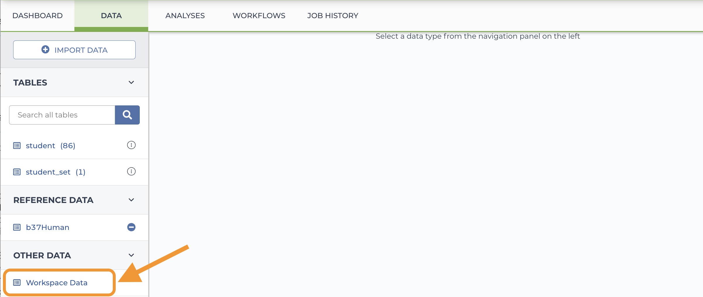 Screenshot of the workspace data page with an arrow pointing to the workspace data link under other files on the left