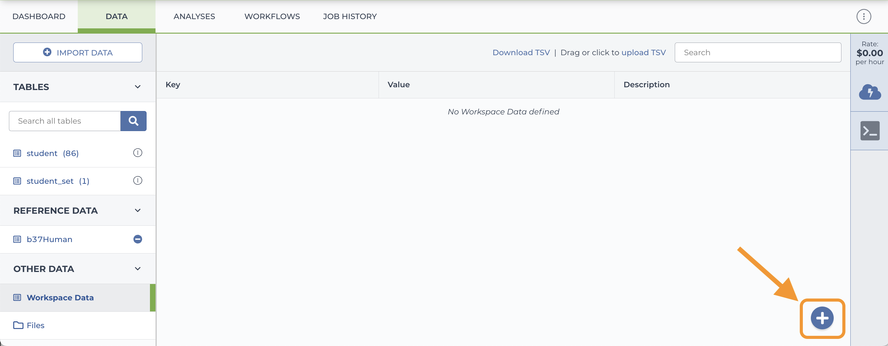 Screenshot of the workspace data page with an arrow pointing to the blue plus icon at the bottom right