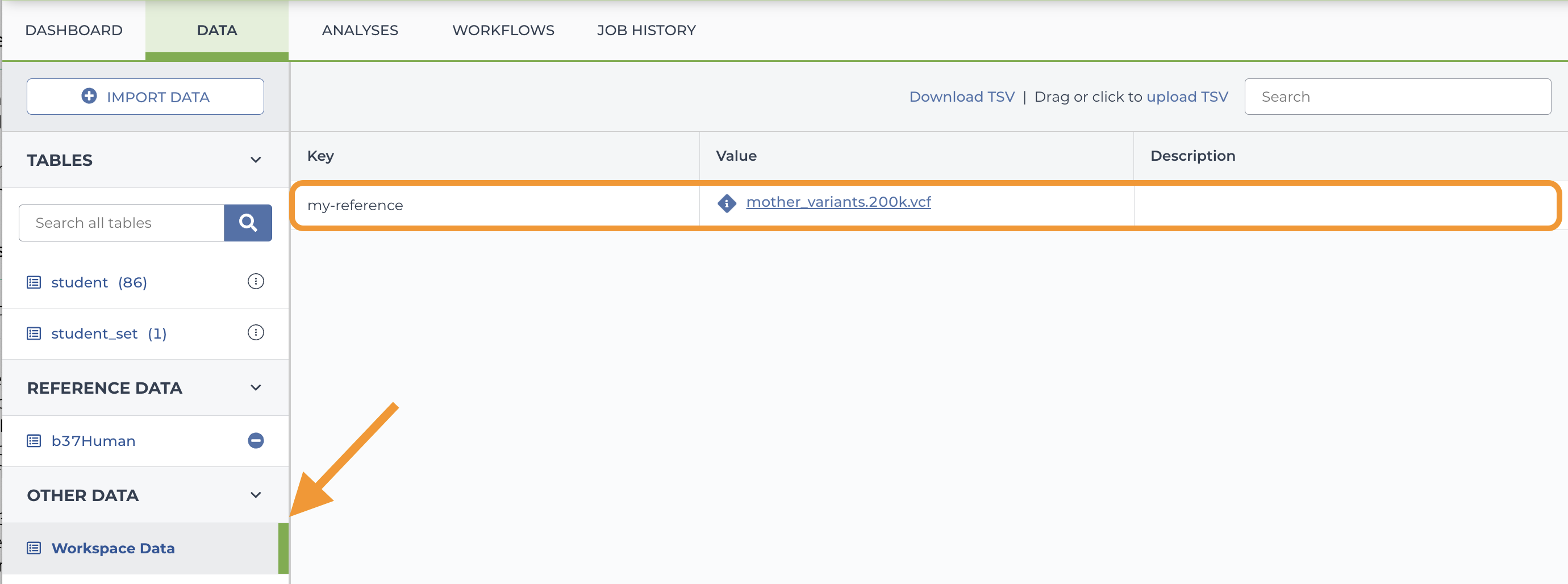 Screenshot of the Workspace data table with an arrow pointing to the workspace data link on the left and the key my-reference and value link to mother_variants200k.vcg circled in the table.