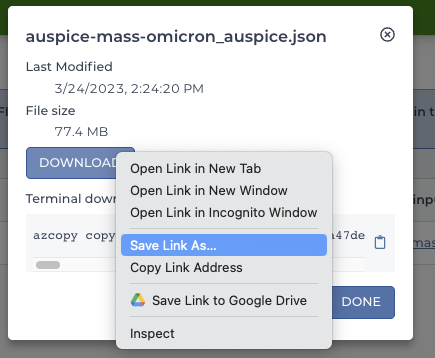 ToA-Covid-19-workspace_Save-auspice-json-link-as_Screenshot.png