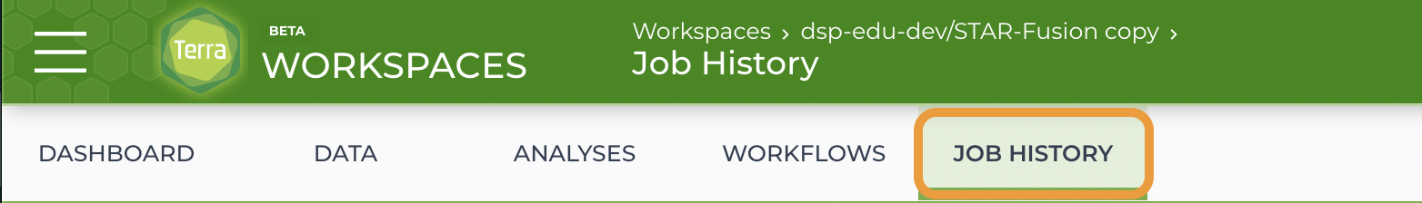 Screenshot of the tabs available for an individual workspace. The Job History tab is highlighted with an orange rectangle.