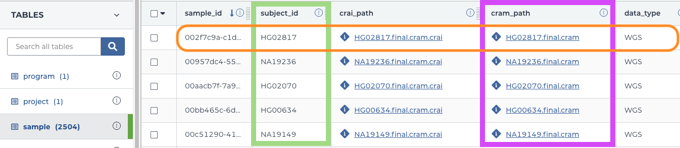 Screenshot of an example TDR data table. The table contains 5 columns: sample_id, subject_id, crai_path, cram_path, and data_type. An orange box highlights one row. A green box highlights the subject_id column. A purple box highlights the cram_path column.