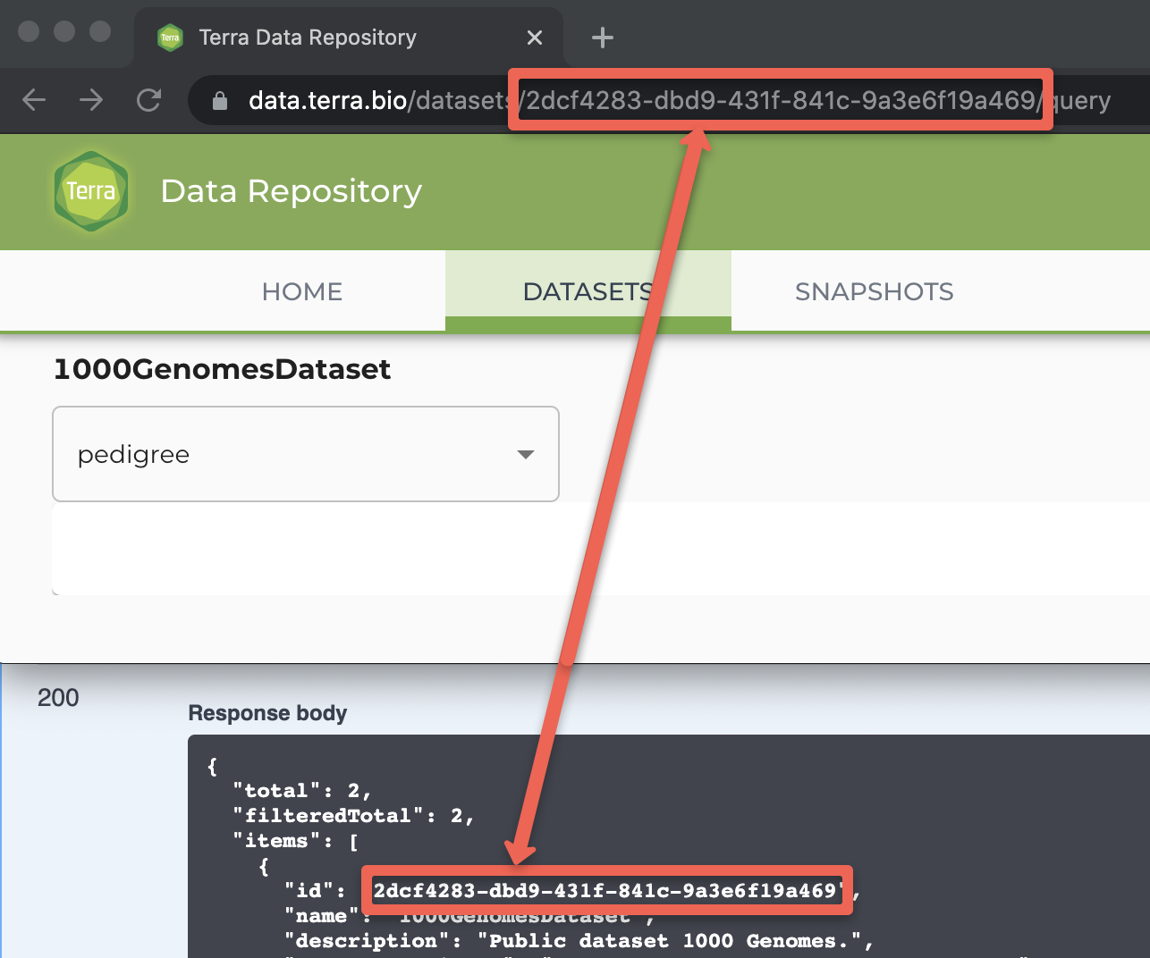 Screenshot showing how to find a dataset's UUID through the TDR web interface. A red rectangle highlights the portion of the URL that contains the UUID, when a user has selected a specific dataset through the TDR website.