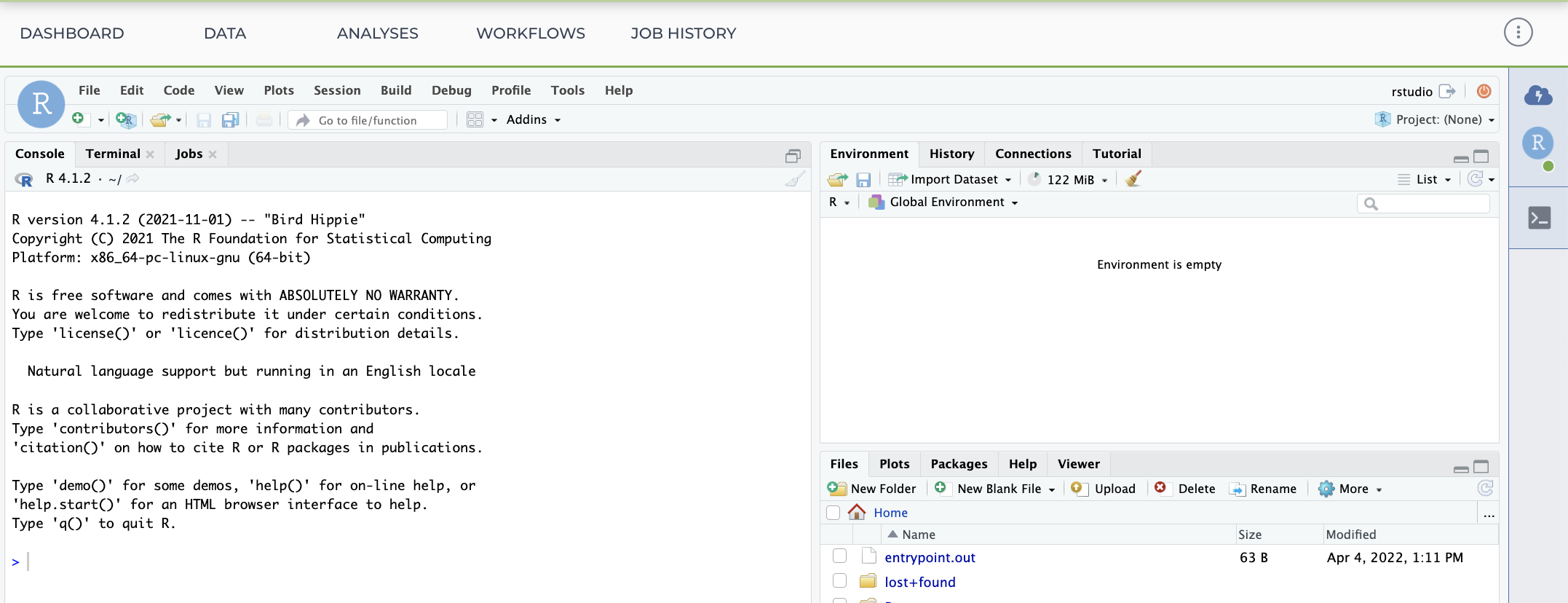 Screenshot of workspace analyses tab with an arrow pointing to the popup in the top right that says your cloud environment is ready: RStudio-First-screen_Screen_shot.png