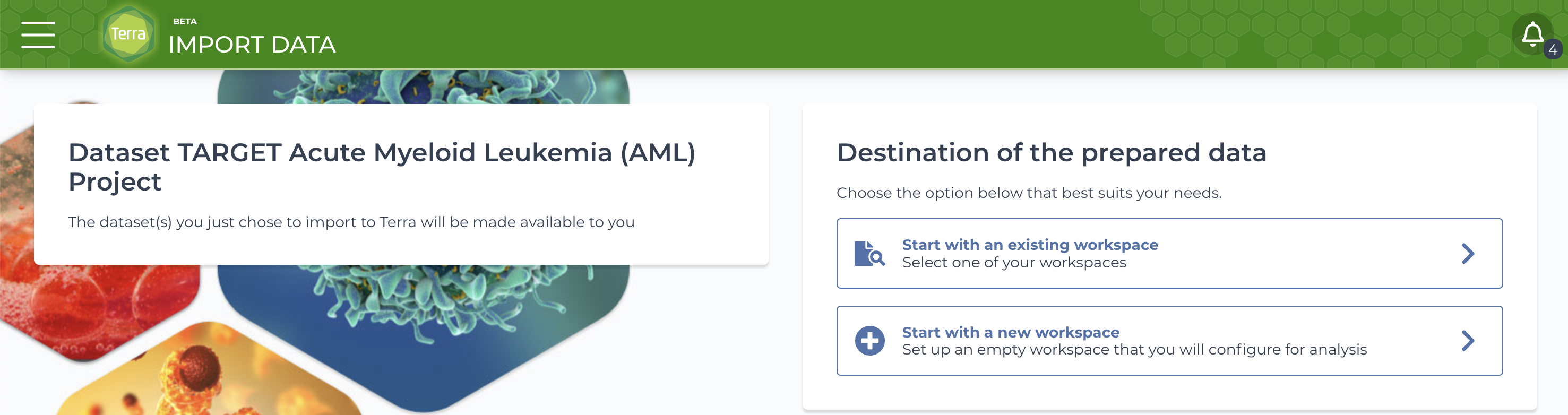 Terra-Data-Catalog_Export-TARGET-dataset_prepared-data-destination_Screenshot.png