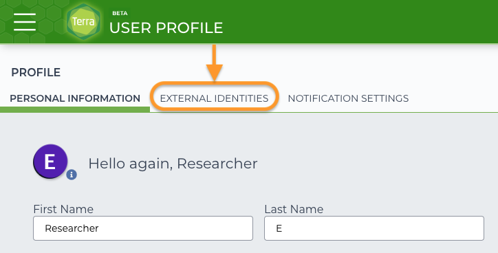 Profile page with the EXTERNAL IDENTITIES tab highlighted