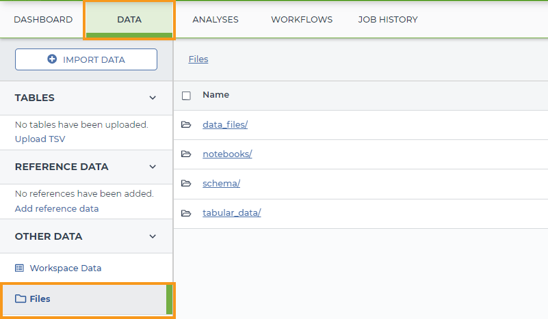 Screenshot showing the files section of the Data tab on an example workspace.