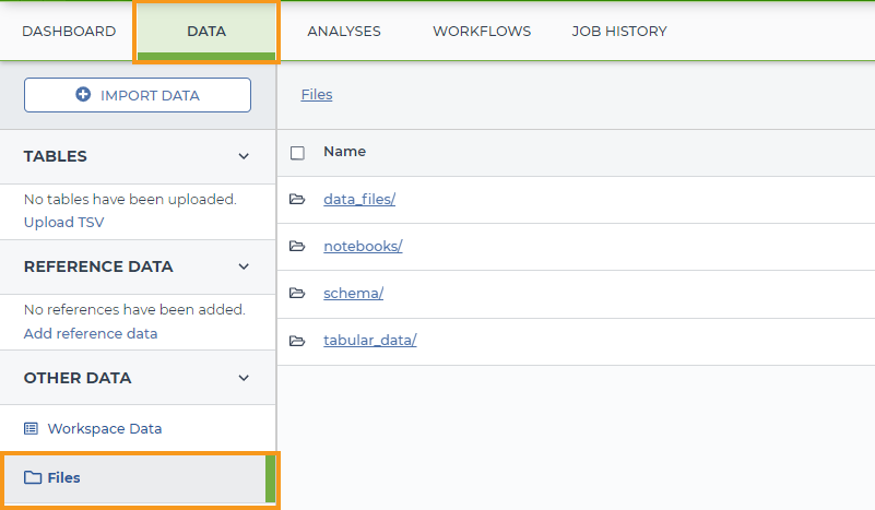 Screenshot of the Data tab for an example Terra workspace. An orange rectangle highlights the Data tab and the Files section on the left-hand panel of the Data tab.