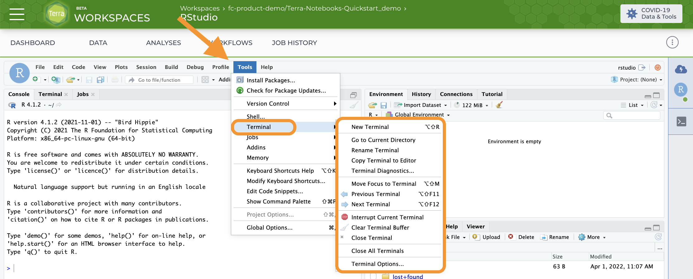Screenshot showing the menu selection used to open a new terminal from within RStudio on Terra.