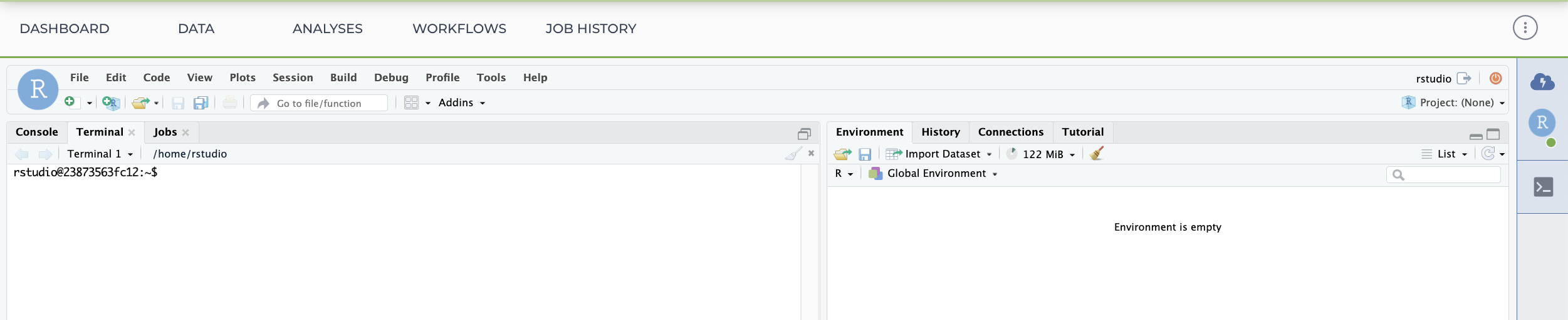 Screenshot showing a new terminal window open in the Rstudio app on Terra.