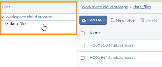 Screenshot showing the files stored in an example Azure-backed workspace's storage. An orange rectangle highlights the menu on the left-hand side used to navigate through the workspace storage folder structure in order to locate the files of interest.