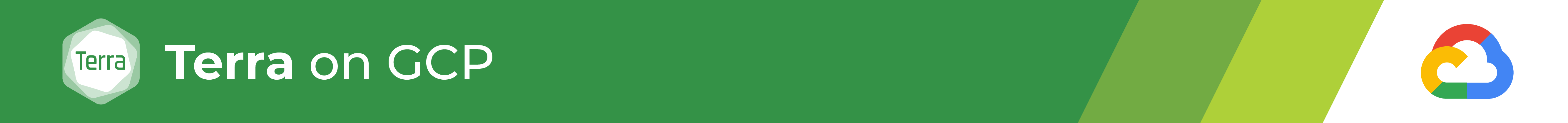 Banner_TerraGCP.png