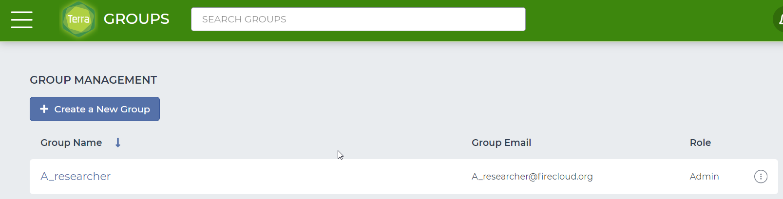 Screenshot showing the new Terra group on the Groups page.