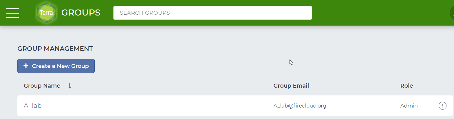 Screenshot showing a new Terra group on the Groups page.