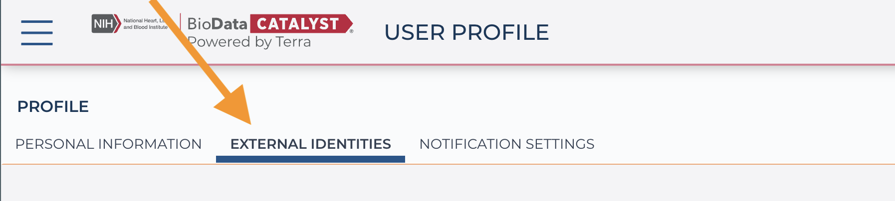 BioData-Catalyst-External-identities-tab-on-the-profile-page_screenshot.png