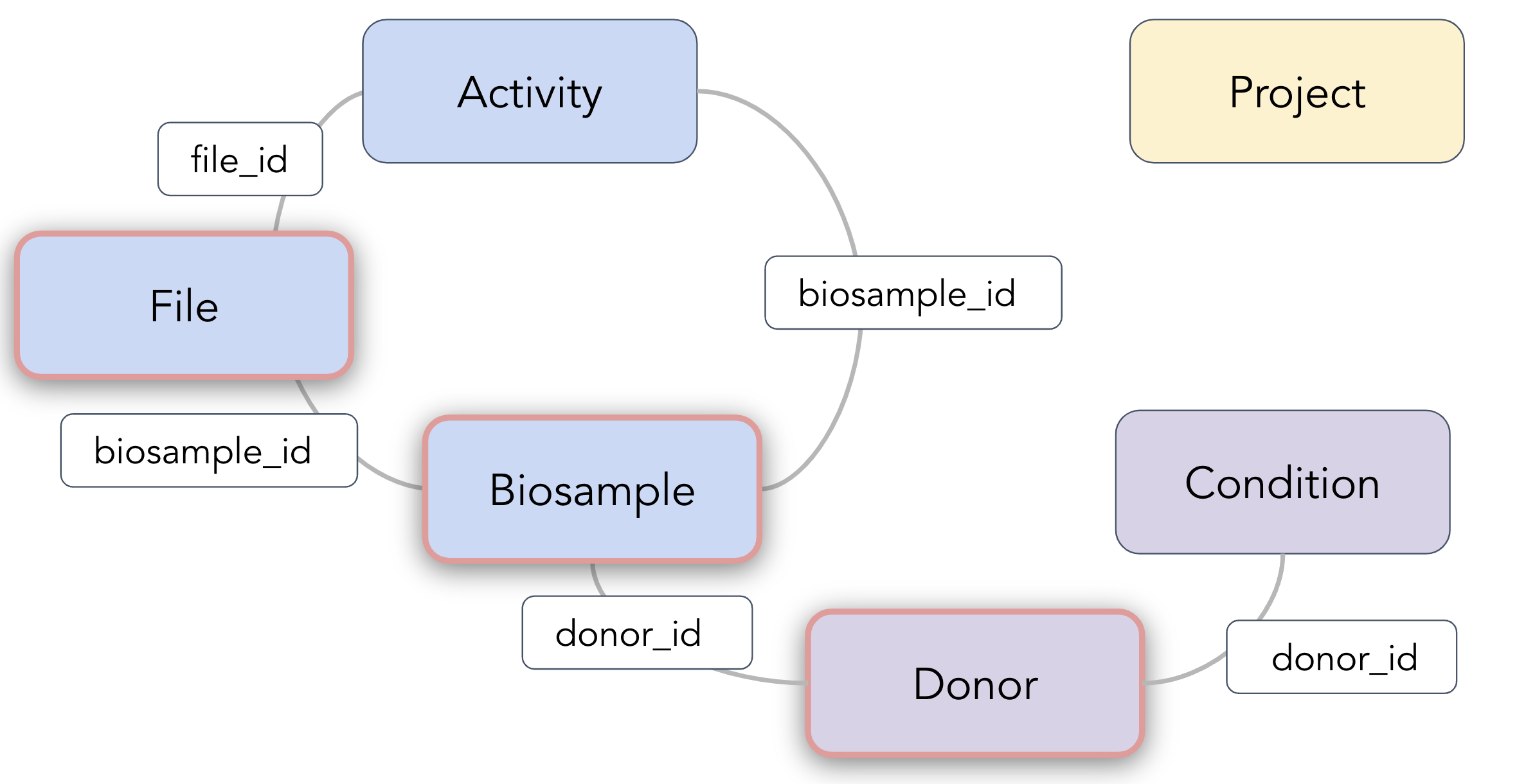 AnVIL-Findability-subset_Biosample-File-Donor-plus-connected-Activity-Condition-Project.png