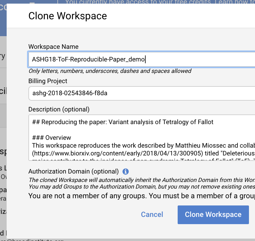 Clone Workspace Popup Screen Shot.png