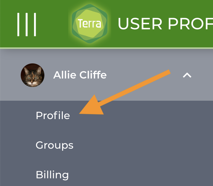 Screenshot-of-main-menu-dropdown-with-arrow-pointing-to-the-profile-section.png