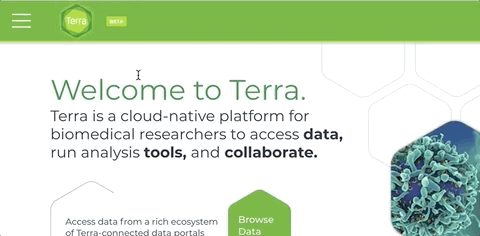 Screen-capture_Creating-a-Terra-managed-group-from-the-main-menu.gif