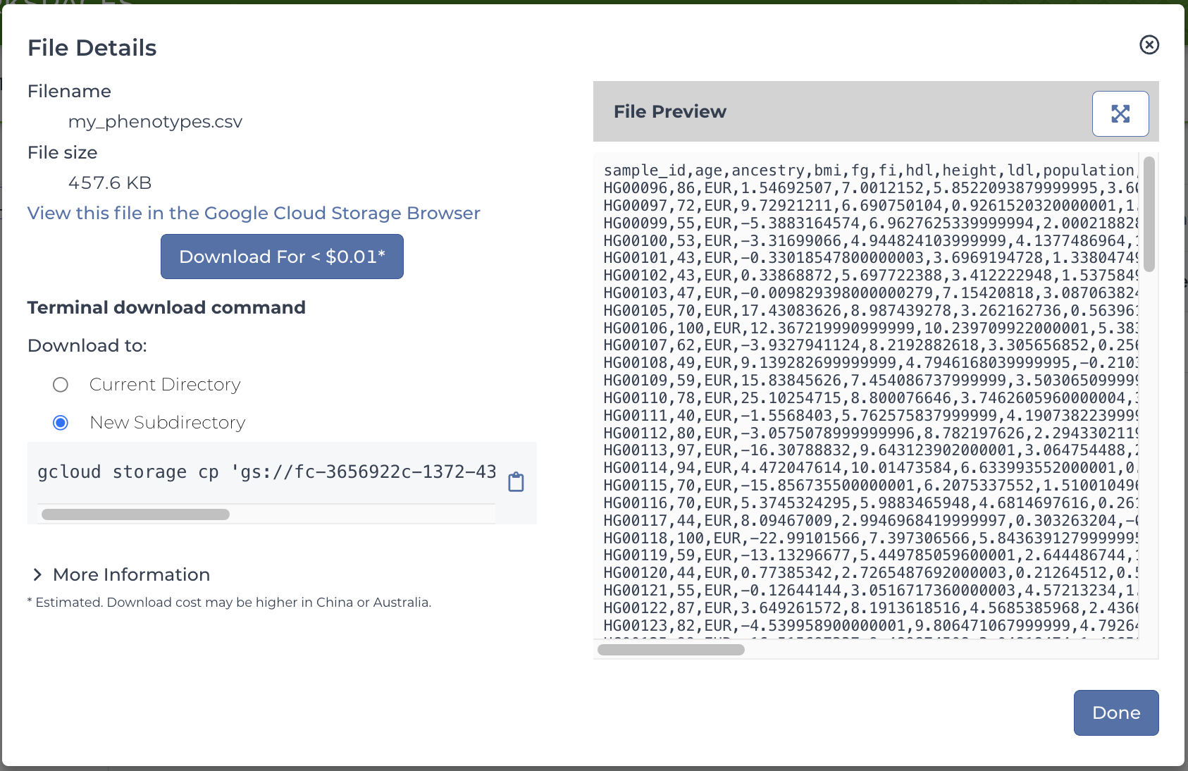 Screenshot-of-File-details-popup.png