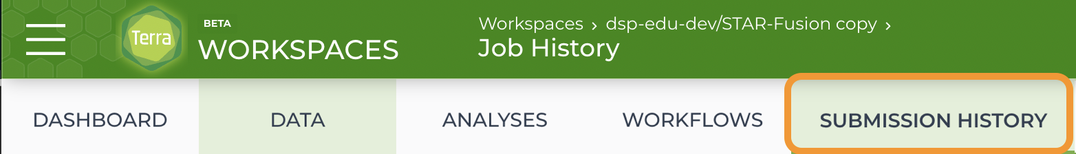 Screenshot-of-submission-history-in-workspace.png