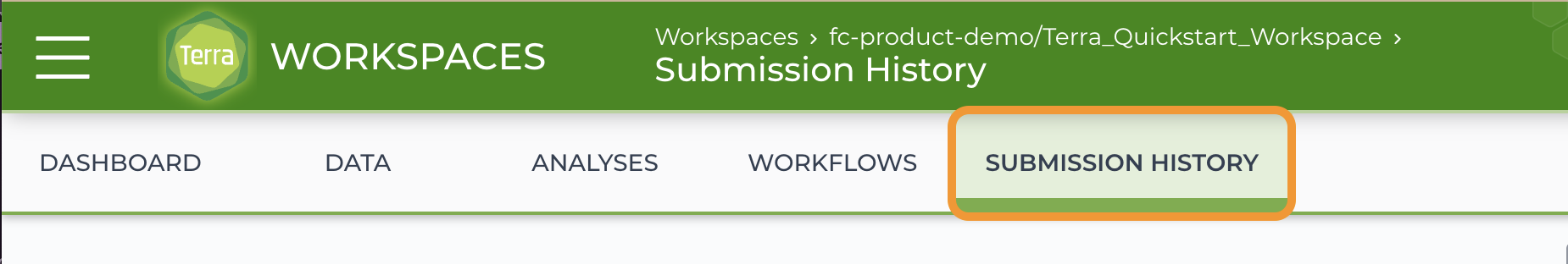 Screenshot-of-workspace-highlighting-Job-Submission-tab.png