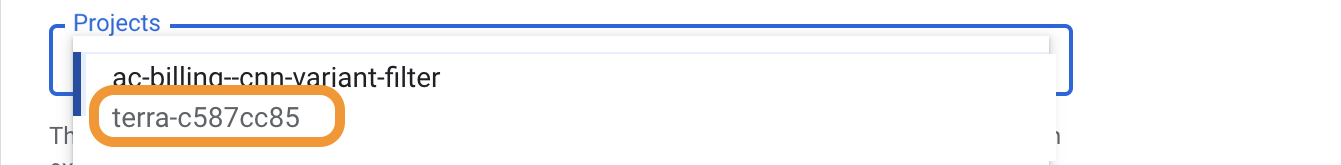 Screenshot-of-projects-in-dropdown-under-daily-cost-detail-with-arrow-pointing-to-a-Terra-created-project-terra-c587cc85.png
