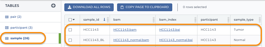 Understanding-entities_Sample-table_Screen_shot.png
