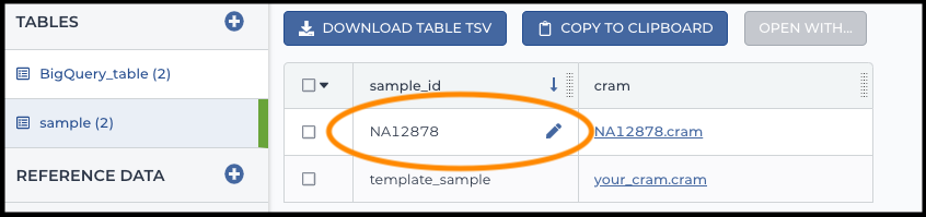 S11a_Edit_sample-table_Screen_Shot.png