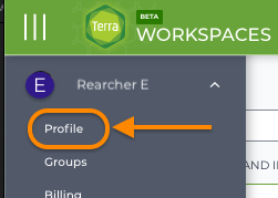 Screenshot of Terra workspaces page highlighting Profile in menu