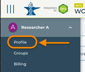 Screenshot of AnVIL on Terra highlighting Profile in menu