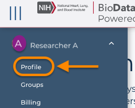 Screenshot of BioData Catalyst on Terra highlighting Profile in menu