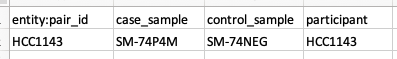 Modifying-tables_Pairs_pairs-table-in-spreadsheet.png