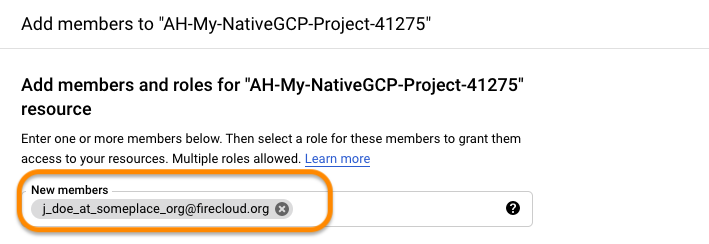 Screenshot of Google Cloud resource page with new members box highlighted