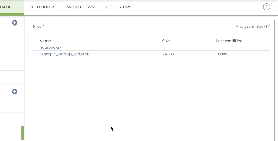 rstudio2.gif