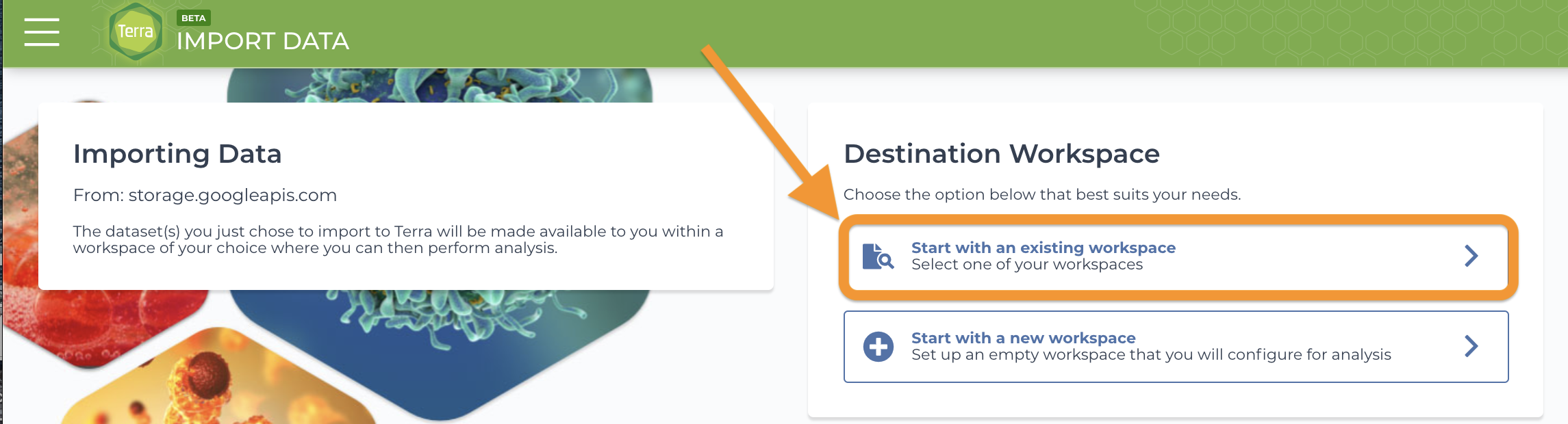 Screenshot of selecting a workfspace in Terra