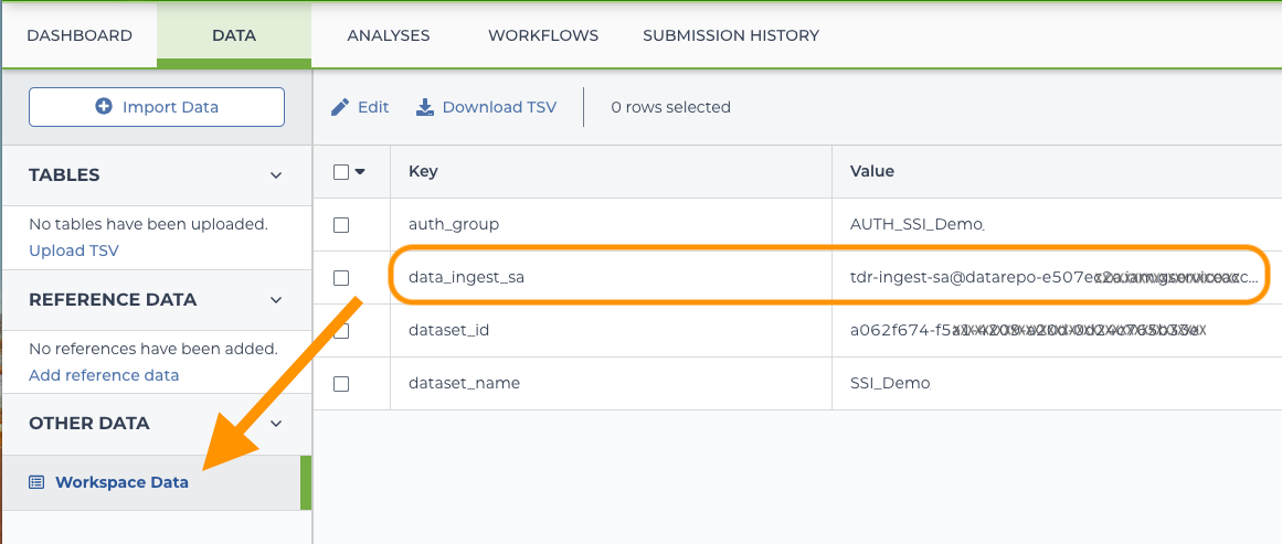 TDR-self-service-workspace_Service-account-in-workspace-data.png
