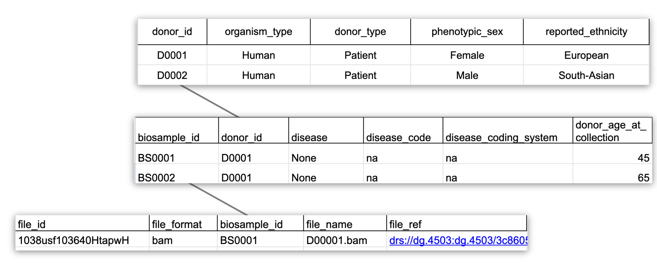 AnVIL-minimal-data-model-toy-example.png