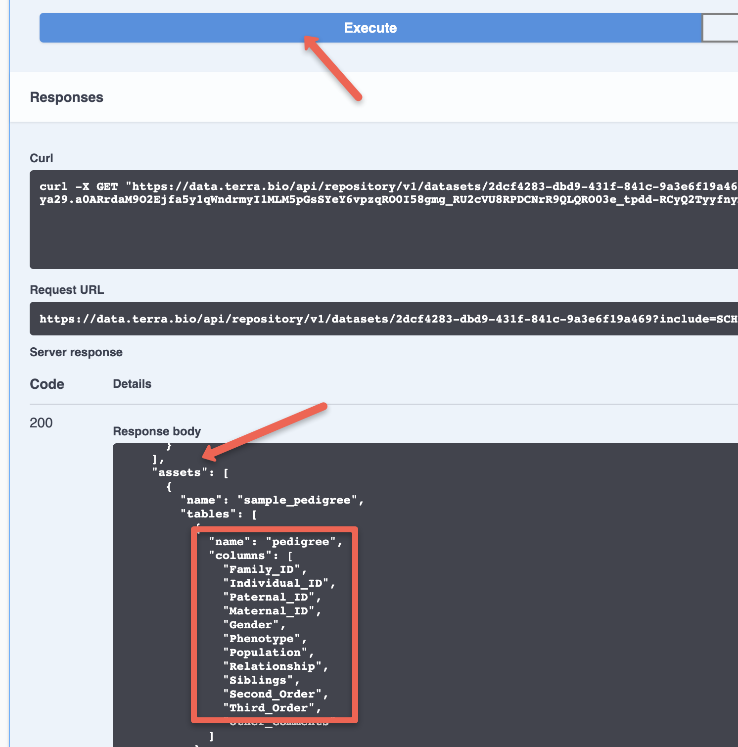 Screenshot of the retrieveDataset Swagger API endpoint. A red arrow highlights the 'Execute' button used to submit a retrieveDataset API job. Another red arrow highlights the 'assets' field in the response body, and a red rectangle highlights the contents of an example asset.