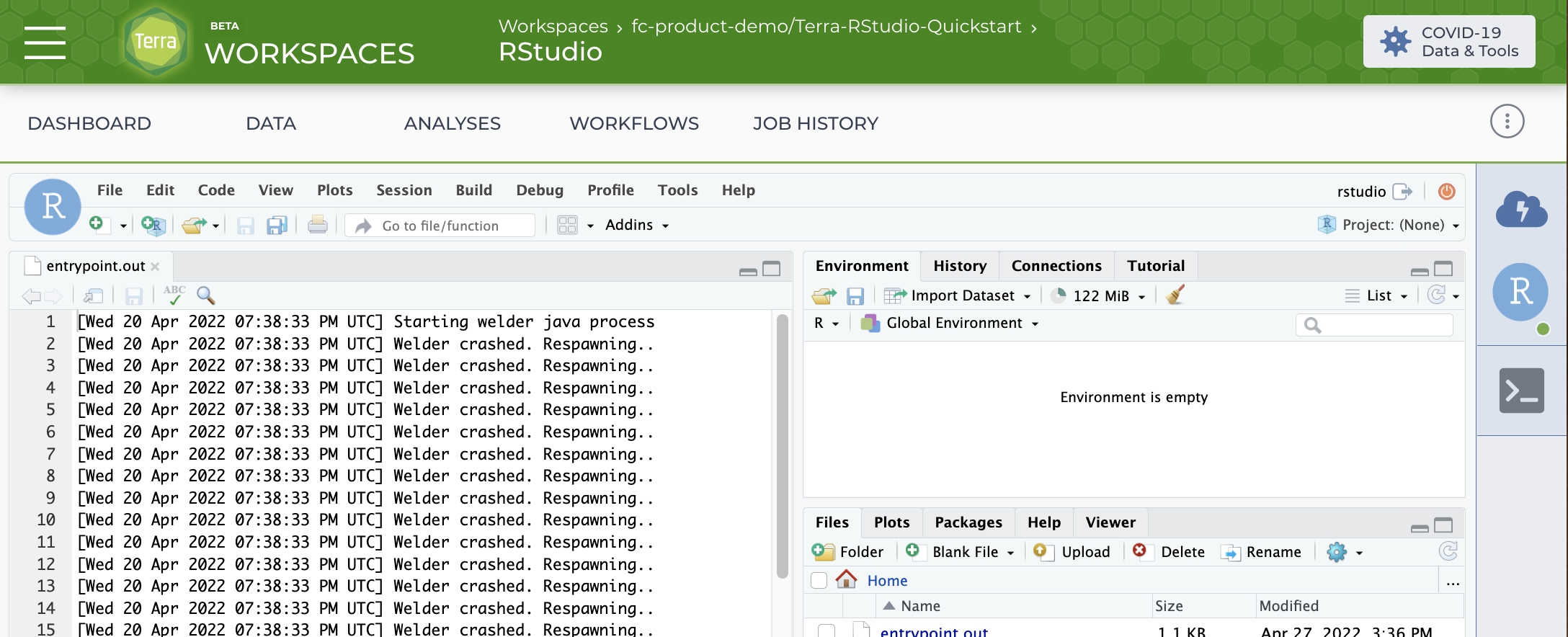 Screenshot of RStudio session in Terra with example standard output code in the entrypoint.out section at left, an empty environment section at the top right, and teh environment.out under files in the bottom right.