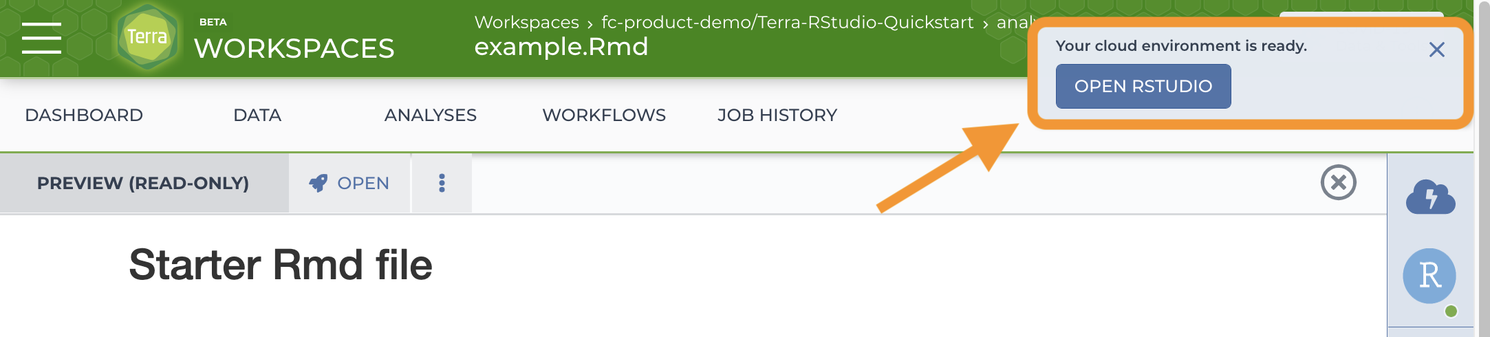 Screenshot of the Analyses tab with the Your cloud environment is ready popup and blue open RStudio button circled. A preview version of the file is visible in the main screen section
