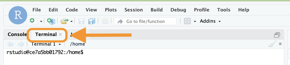 Screenshot showing an open RStudio environment on Terra. An orange box and an orange arrow highlight the Terminal tab below the RStudio tool bar and to the right of the Console tab.