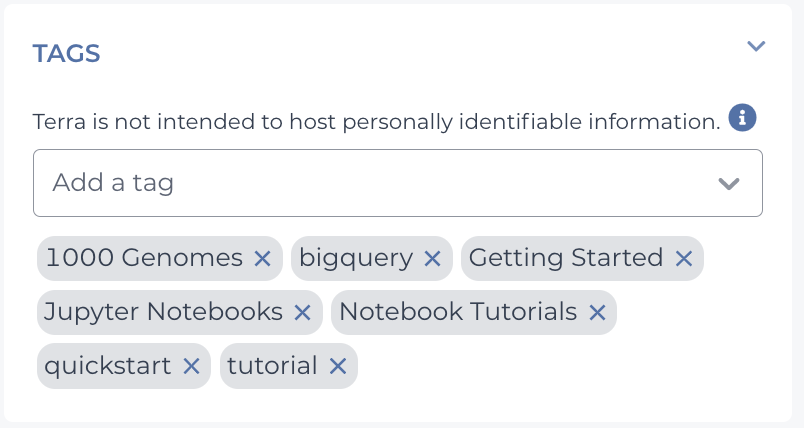 Screenshot showing the tags section displayed on an example workspace's dashboard.