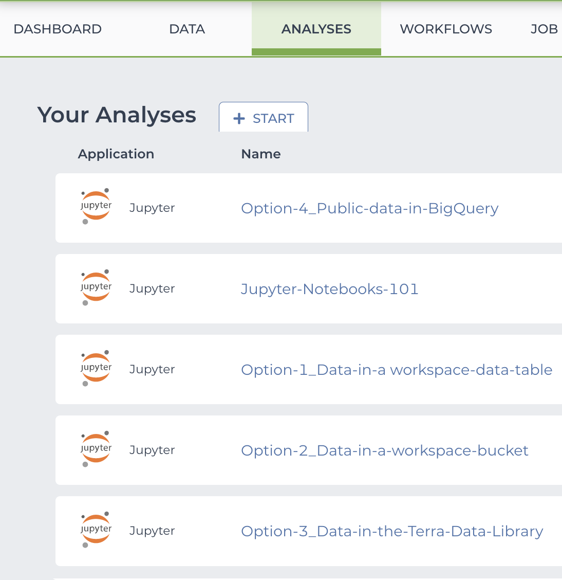 Screenshot showing the notebook files listed in the Analyses tab.