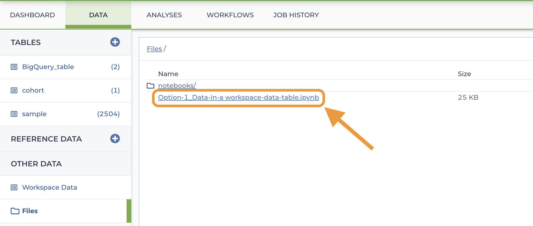 Screenshot showing the 'Files' section of the workspace's Data tab. An orange box and an orange arrow highlight an .ipynb file that is listed below the 'notebooks' directory in this file structure.