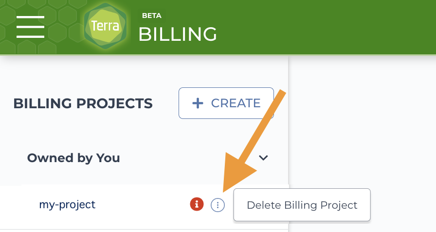 Screen shot of three vertical dot icon next to errored Billing project in Billing page