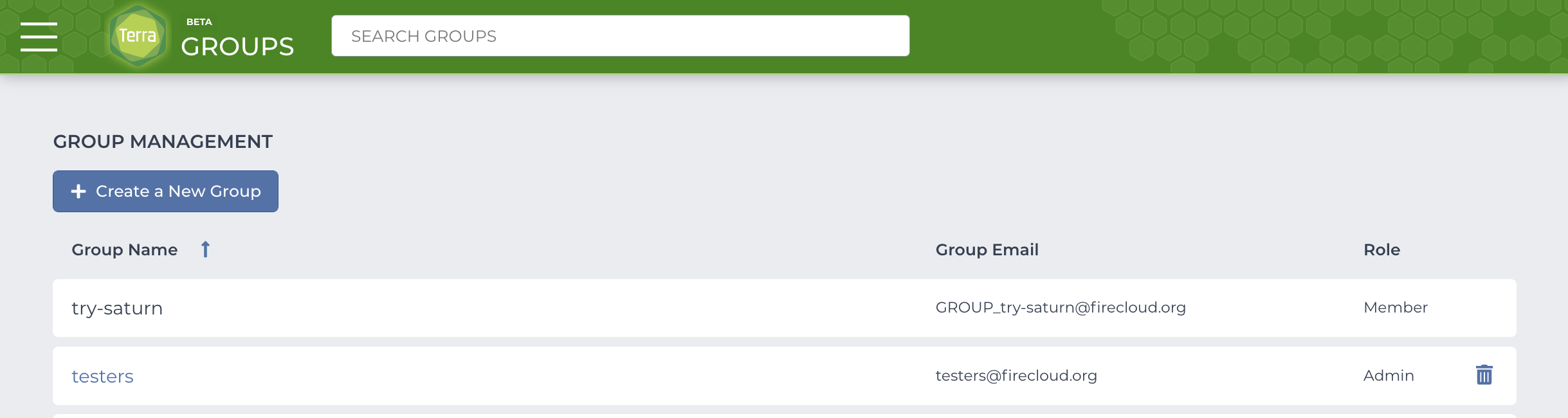 Screenshot of top-level Groups page in Terra with the button to create a group at the top and a list of all the groups you belong to - as well as the group email and your role - below.